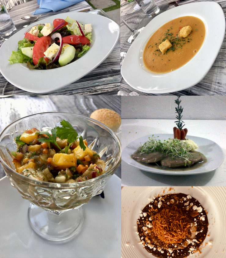 comida gourmet